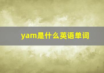 yam是什么英语单词