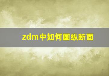 zdm中如何画纵断面