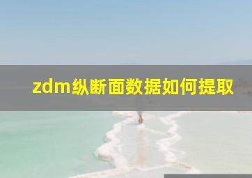 zdm纵断面数据如何提取