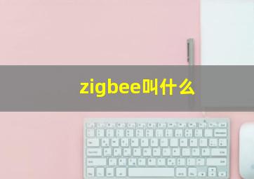 zigbee叫什么