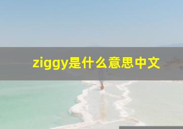 ziggy是什么意思中文