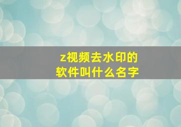 z视频去水印的软件叫什么名字