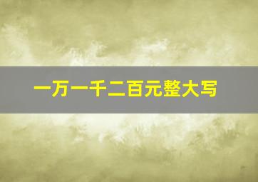 一万一千二百元整大写