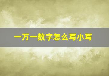 一万一数字怎么写小写