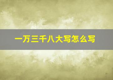 一万三千八大写怎么写