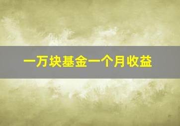 一万块基金一个月收益