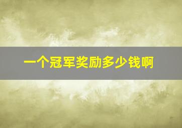 一个冠军奖励多少钱啊