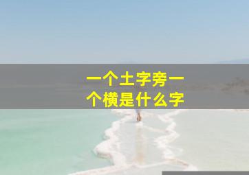 一个土字旁一个横是什么字