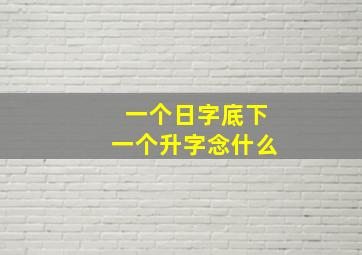 一个日字底下一个升字念什么