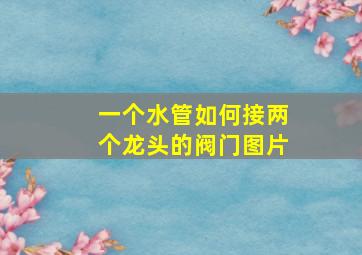 一个水管如何接两个龙头的阀门图片