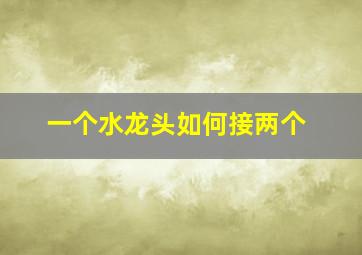 一个水龙头如何接两个