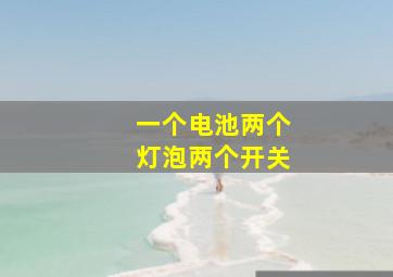 一个电池两个灯泡两个开关