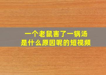 一个老鼠害了一锅汤是什么原因呢的短视频