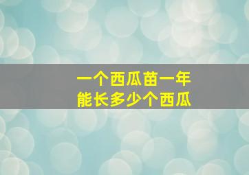 一个西瓜苗一年能长多少个西瓜