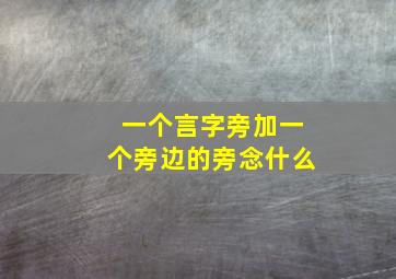 一个言字旁加一个旁边的旁念什么