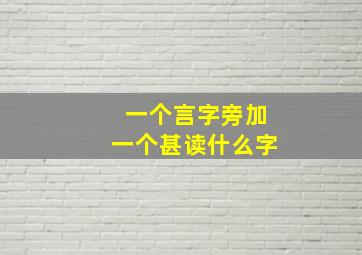 一个言字旁加一个甚读什么字