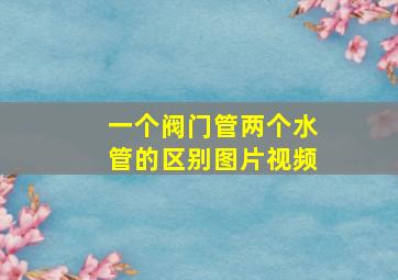 一个阀门管两个水管的区别图片视频