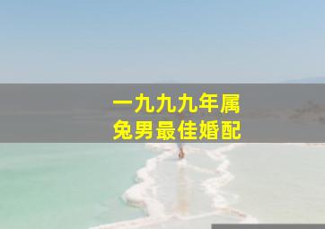 一九九九年属兔男最佳婚配