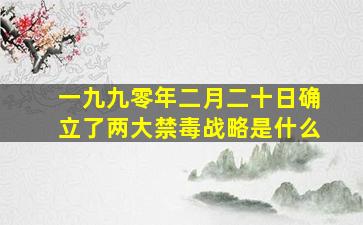 一九九零年二月二十日确立了两大禁毒战略是什么