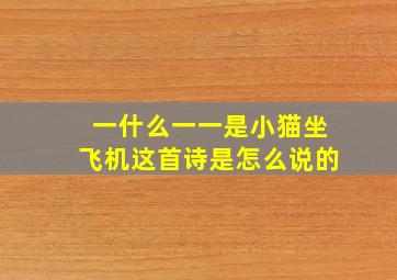 一什么一一是小猫坐飞机这首诗是怎么说的