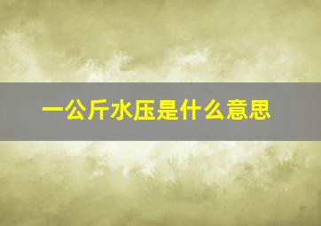 一公斤水压是什么意思