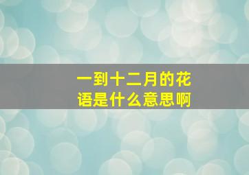 一到十二月的花语是什么意思啊