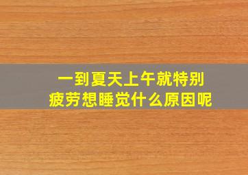 一到夏天上午就特别疲劳想睡觉什么原因呢