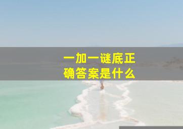 一加一谜底正确答案是什么