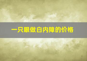 一只眼做白内障的价格