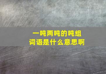 一吨两吨的吨组词语是什么意思啊