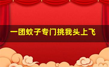 一团蚊子专门挑我头上飞