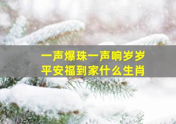 一声爆珠一声响岁岁平安福到家什么生肖