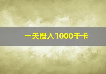 一天摄入1000千卡