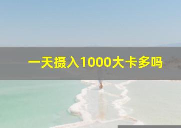 一天摄入1000大卡多吗