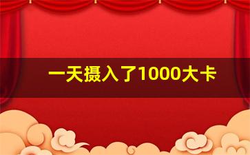 一天摄入了1000大卡