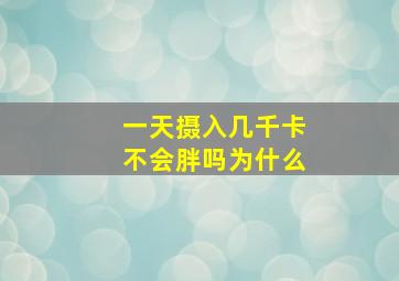 一天摄入几千卡不会胖吗为什么