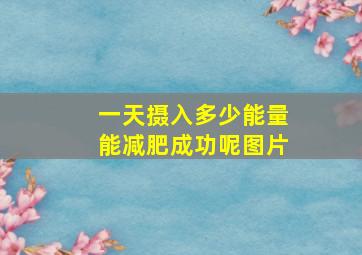 一天摄入多少能量能减肥成功呢图片