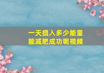 一天摄入多少能量能减肥成功呢视频