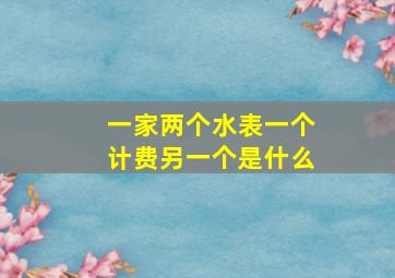 一家两个水表一个计费另一个是什么