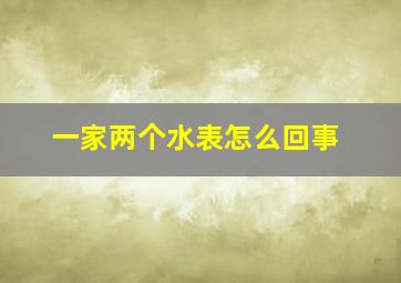 一家两个水表怎么回事