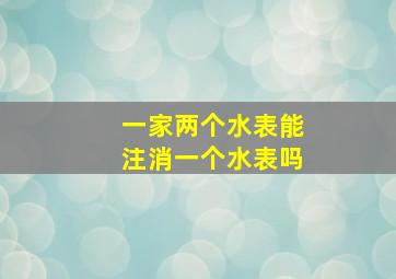 一家两个水表能注消一个水表吗