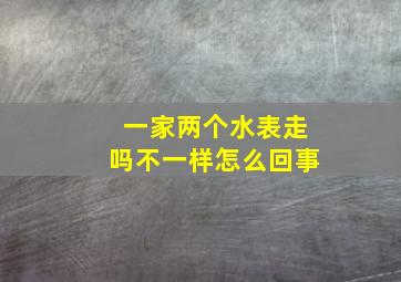 一家两个水表走吗不一样怎么回事