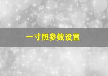 一寸照参数设置