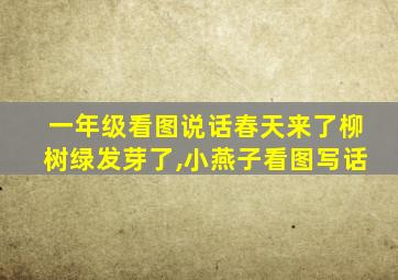 一年级看图说话春天来了柳树绿发芽了,小燕子看图写话