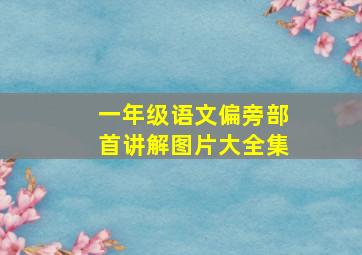 一年级语文偏旁部首讲解图片大全集