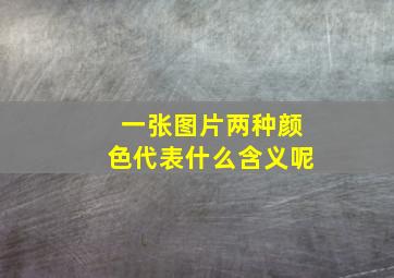 一张图片两种颜色代表什么含义呢