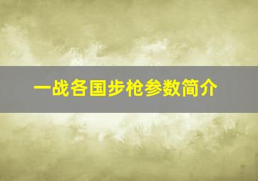 一战各国步枪参数简介