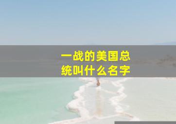 一战的美国总统叫什么名字