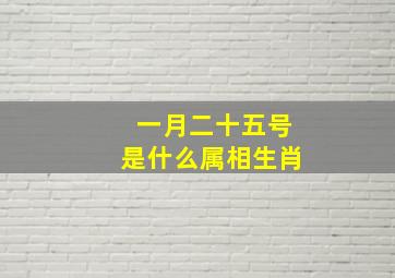 一月二十五号是什么属相生肖