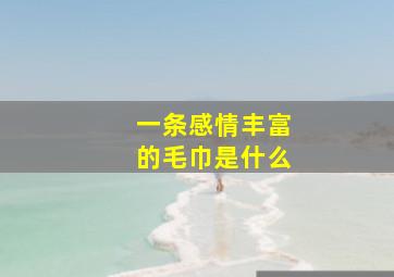 一条感情丰富的毛巾是什么